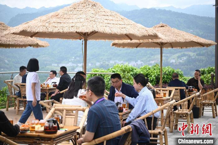 走进“中国老鹰茶之乡”：“茶经济”红火