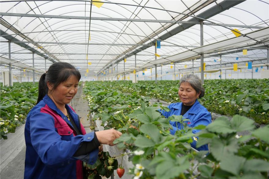 图片1.png 图片1.png