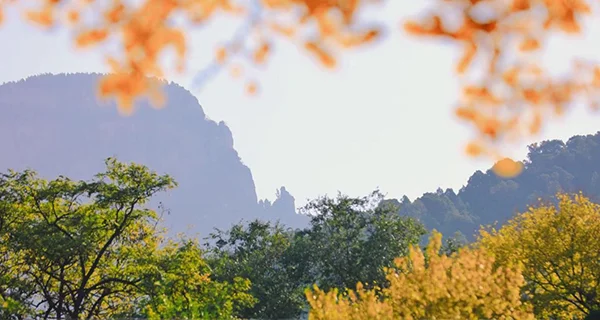 朗公石(图片来源:山东大灵岩寺 摄影:赞荷)