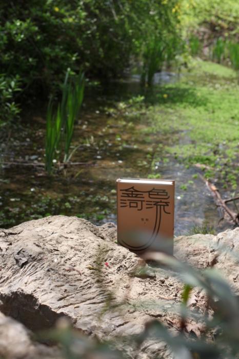 《金色河流》书封。(译林出版社 供图/《中国新闻》报 发)