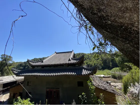 畬家山寨里的“黄檗正宗”