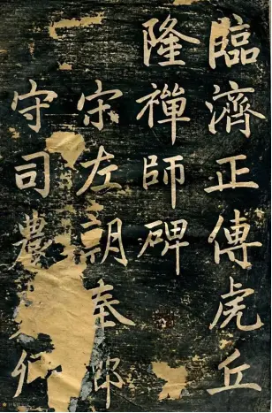 畬家山寨里的“黄檗正宗”