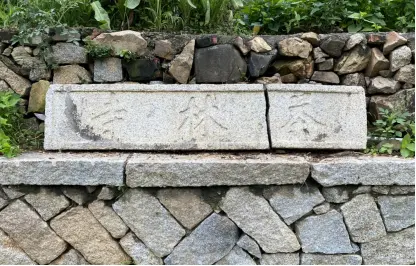 寻找中国唯一带“茶”字的禅寺——茶林寺的故事