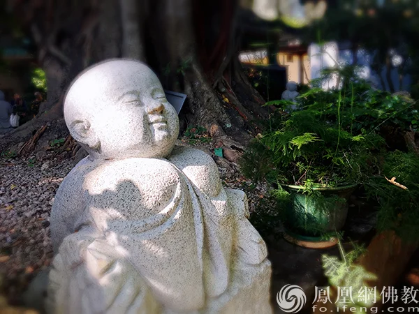 图片来源：凤凰网佛教文化 摄影：闫秀勇