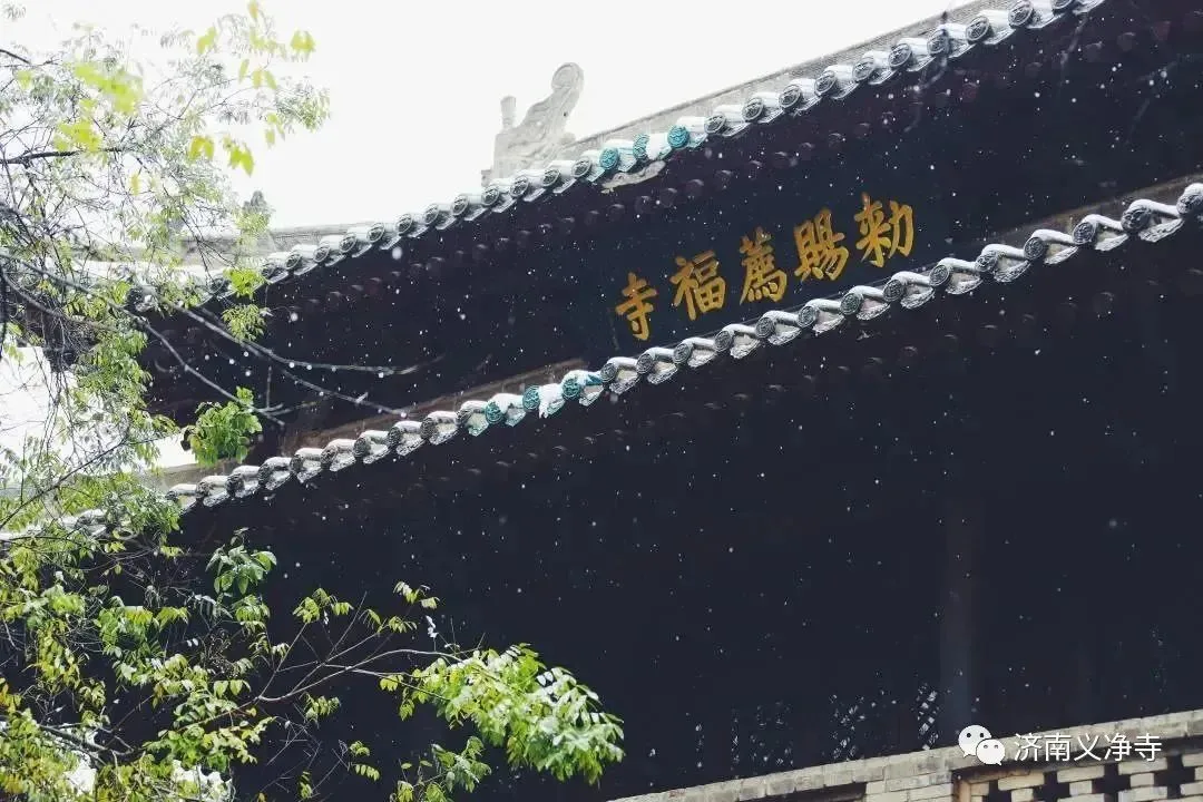 距今1300多年的荐福寺小雁塔:义净大师海上丝绸之路的见证者