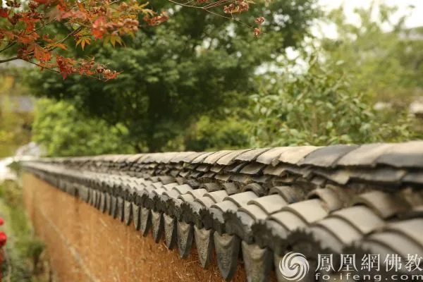 三秦宗教 | 扶风孔雀寺践行佛教中国化的探索:不结人缘、财缘,只结法缘