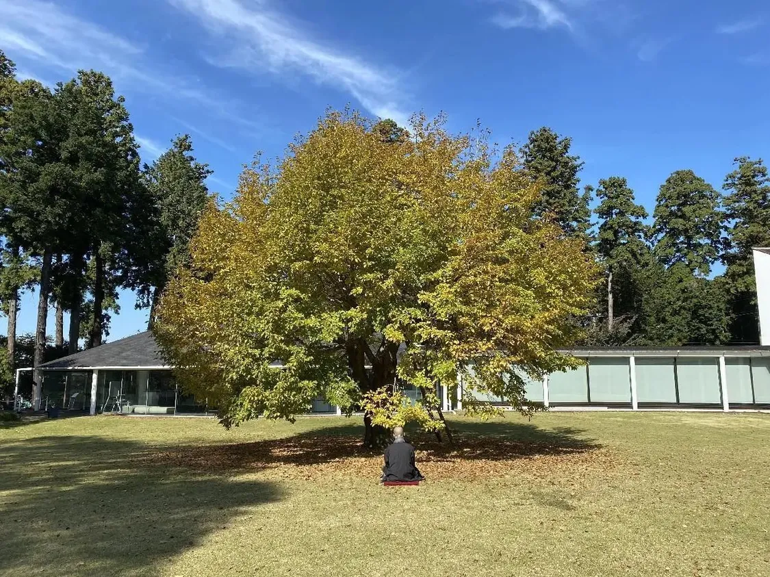 f9df79d08357b0d42fa18681effdb1b f9df79d08357b0d42fa18681effdb1b