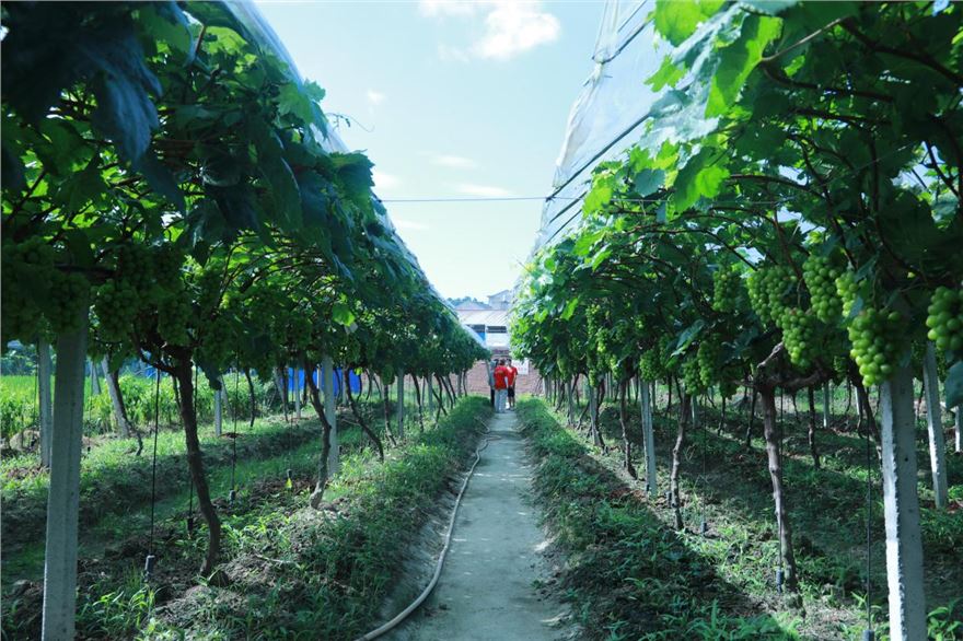 mmexport1721734334553.png mmexport1721734334553.png