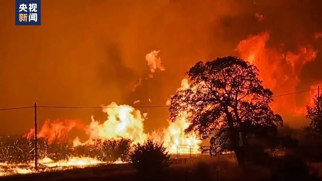 美国发生超百处大型野火!数千人逃离 美国发生超百处大型野火!数千人逃离