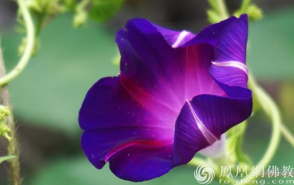 图片来源：凤凰网佛教文化 摄影：闫秀勇