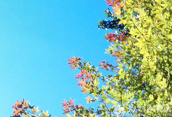 图片来源：凤凰网佛教文化 摄影：闫秀勇