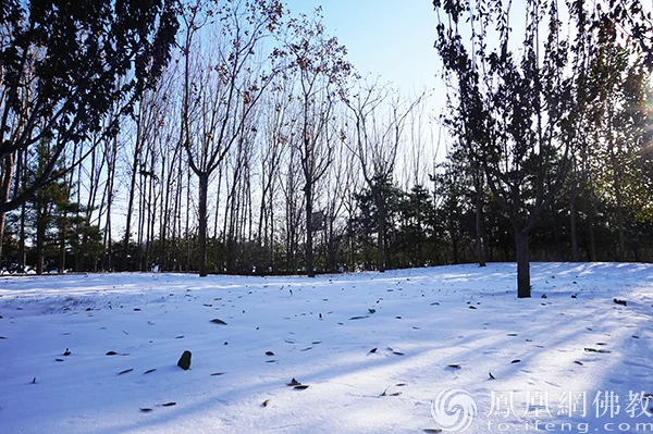 图片来源：凤凰网佛教文化 摄影：闫秀勇