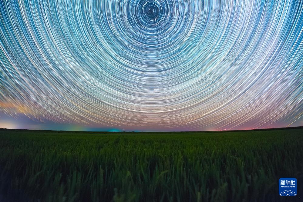 星空相册|“北大仓”黑龙江:累累硕果“约会”点点繁星 星空相册|“北大仓”黑龙江:累累硕果“约会”点点繁星