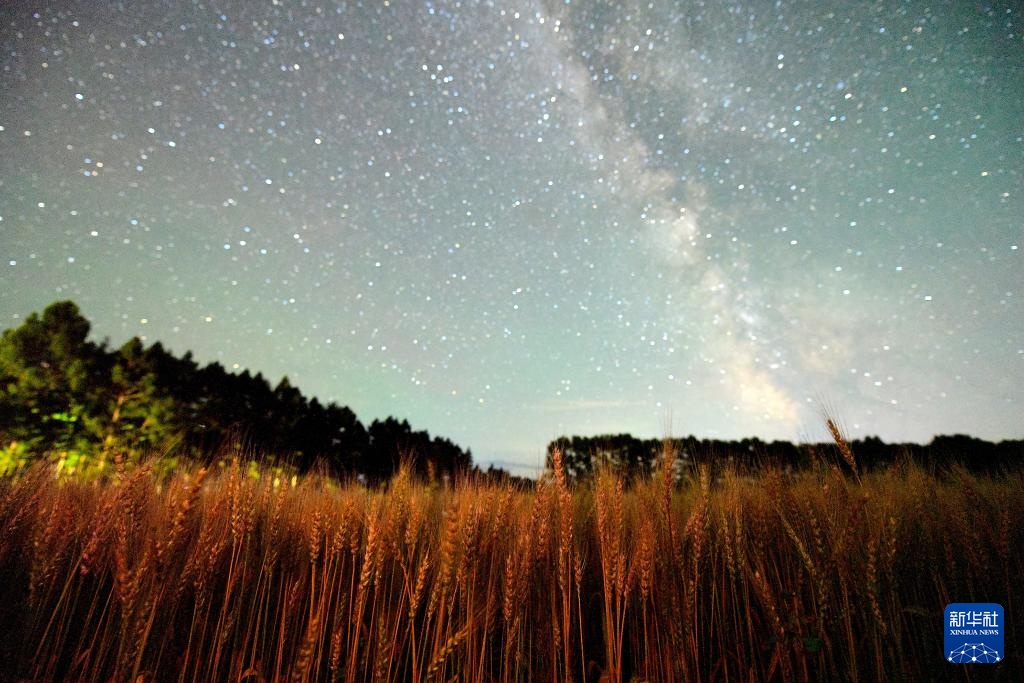 星空相册|“北大仓”黑龙江:累累硕果“约会”点点繁星 星空相册|“北大仓”黑龙江:累累硕果“约会”点点繁星