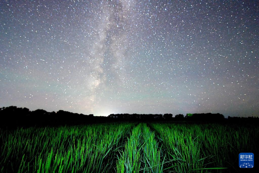 星空相册|“北大仓”黑龙江:累累硕果“约会”点点繁星 星空相册|“北大仓”黑龙江:累累硕果“约会”点点繁星