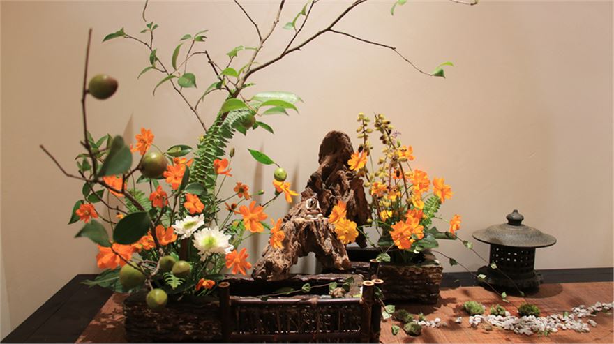 IMG_0616(1).jpg IMG_0616(1).jpg