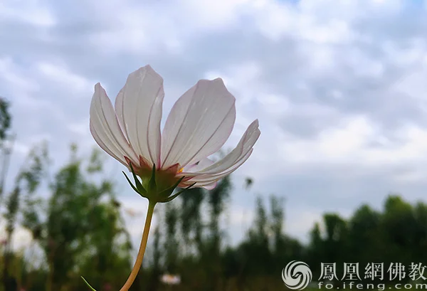 图片来源：凤凰网佛教文化 摄影：闫秀勇