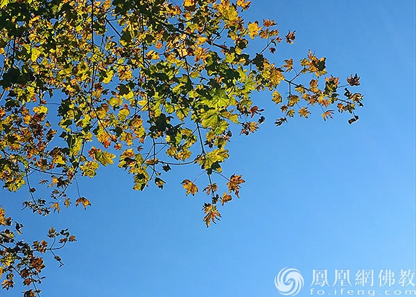 图片来源：凤凰网佛教文化 摄影：闫秀勇