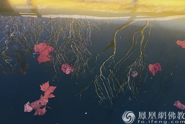 图片来源：凤凰网佛教文化 摄影：闫秀勇