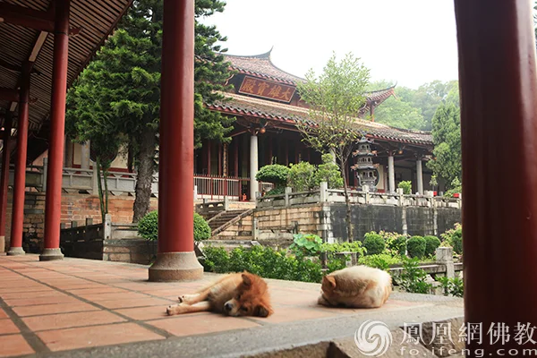 释本性:中国历代高僧从严治教事迹——至诚感人