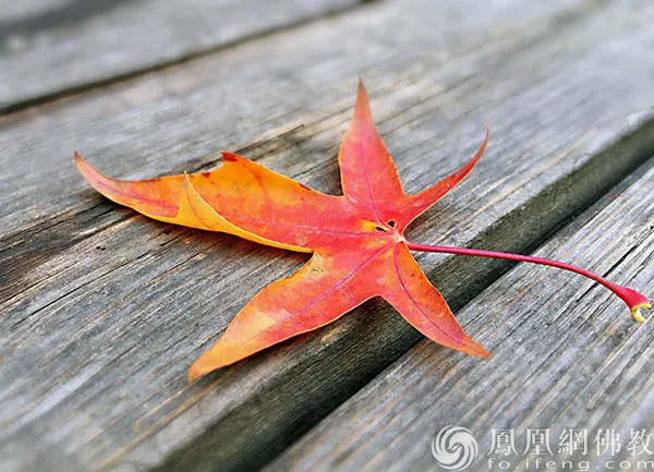 图片来源：凤凰网佛教文化 摄影：闫秀勇