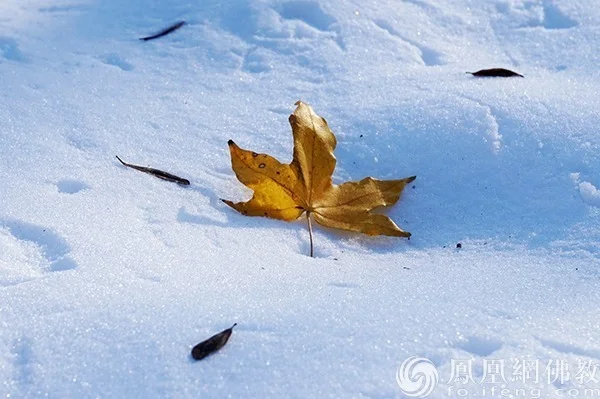 图片来源：凤凰网佛教文化 摄影：闫秀勇