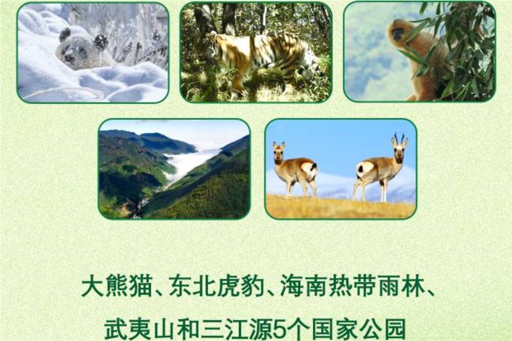 首批5个国家公园全部完成确权登记