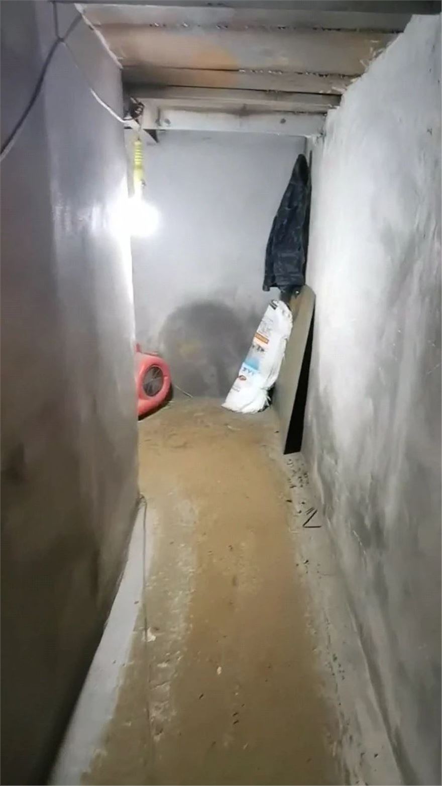 230.jpg