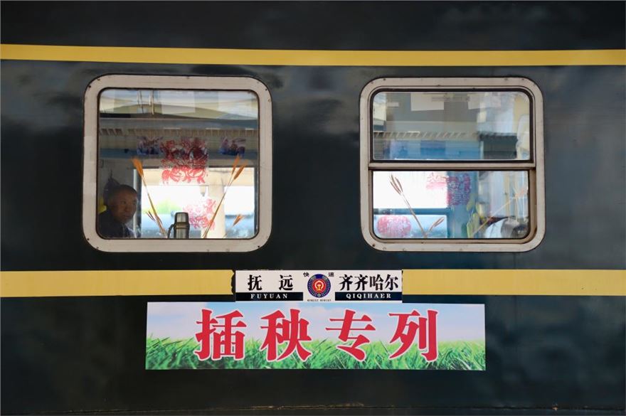 85.jpg