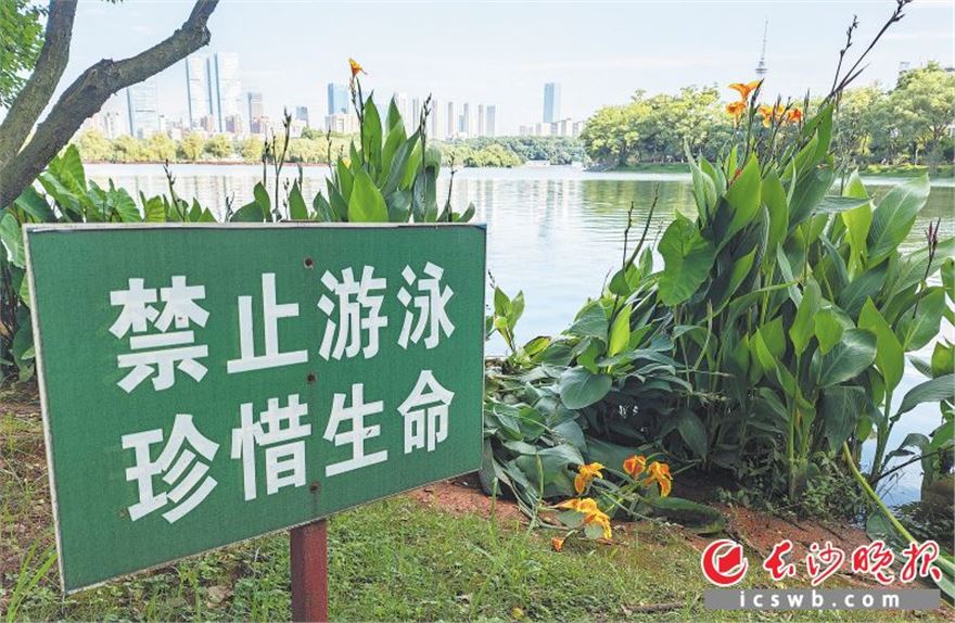 516.jpg