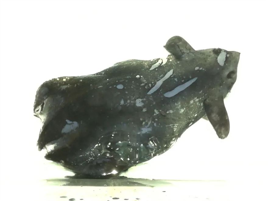 48.jpg