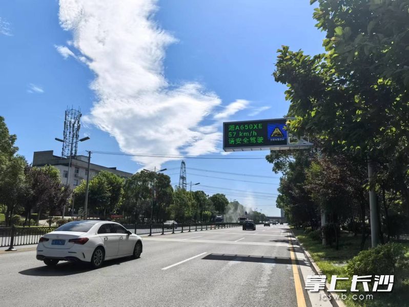 电子显示屏上实时呈现过往车辆信息，警示作用十分明显。