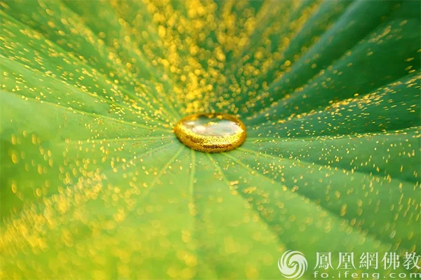 图片来源：凤凰网佛教文化 摄影：孟和德力根