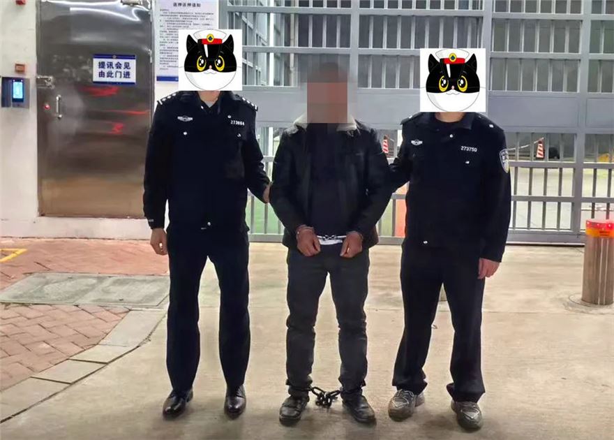 5.jpg