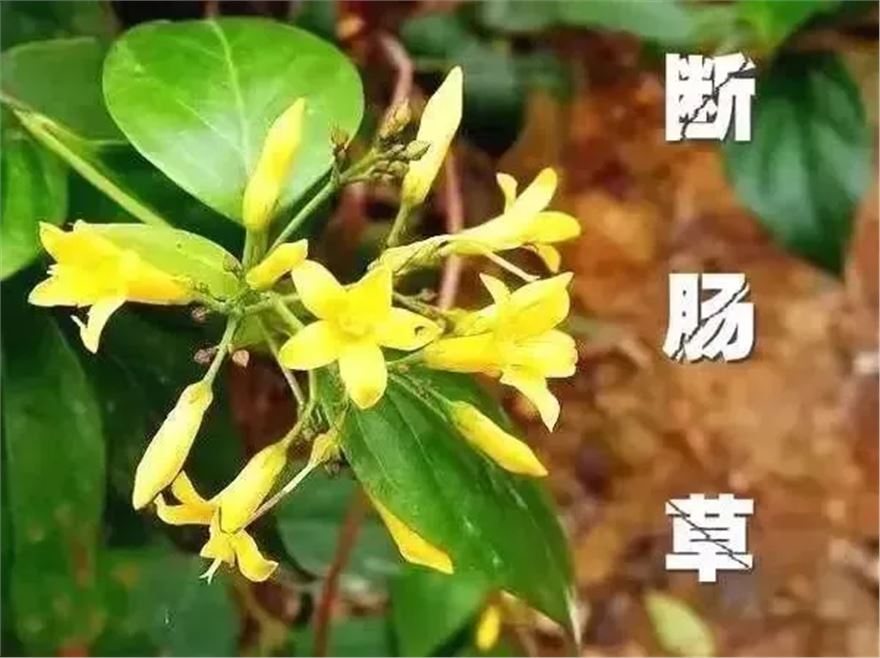 微信图片_20250407095216.png