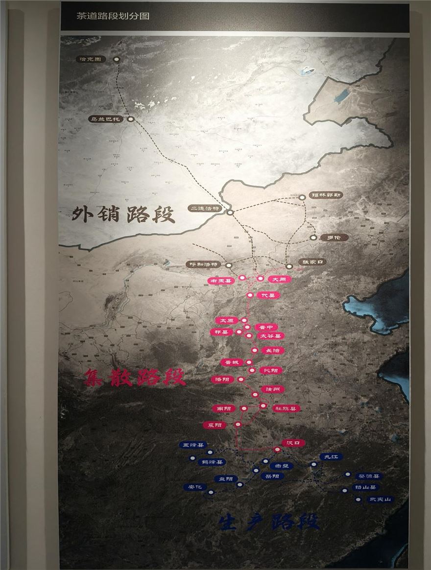 3D233045-33EE-475D-8CE0-93C8917E9A67.jpeg